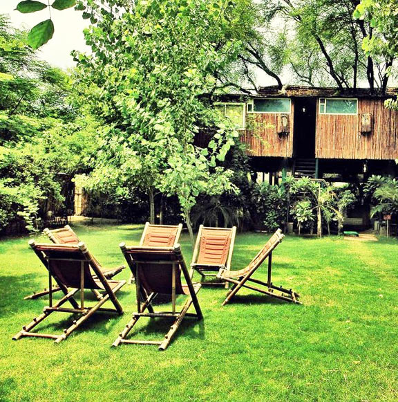Luxury  Tree House In Rajasthan