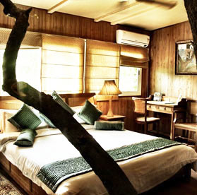 Luxury  Tree House In Chandwaji