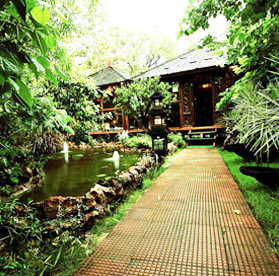 Affordable  Tree House In Rajasthan