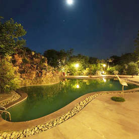  Tree House In Rajasthan