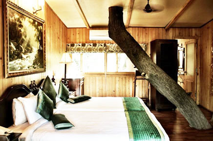 Affordable  Tree House In Rajasthan