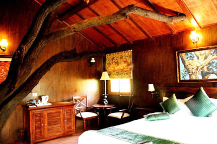  Tree House In Chandwaji