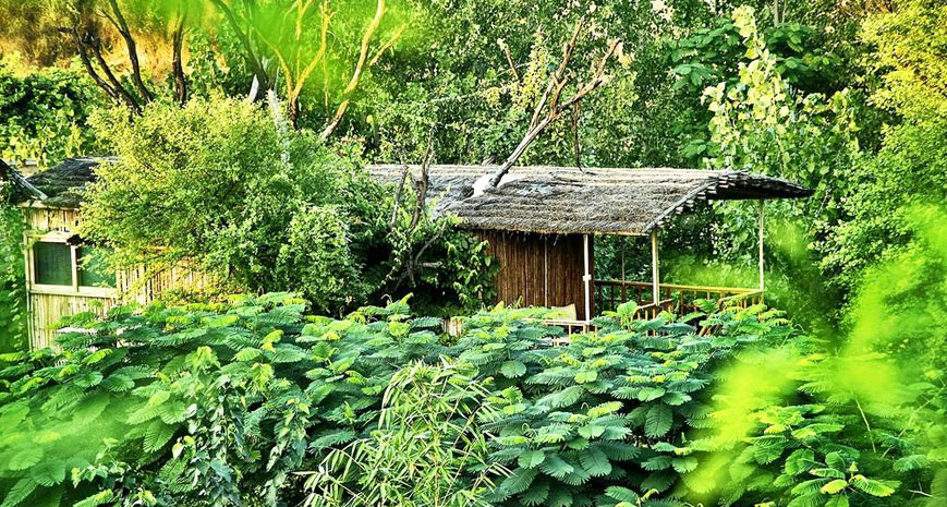 View The Tree House Resort In Chandwaji, Rajasthan